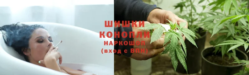 Канабис сатива  KRAKEN сайт  Ногинск  продажа наркотиков 